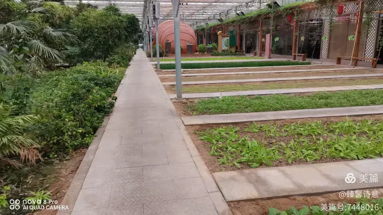 河北省故城县以岭康养庄园之中国金蝉文化馆